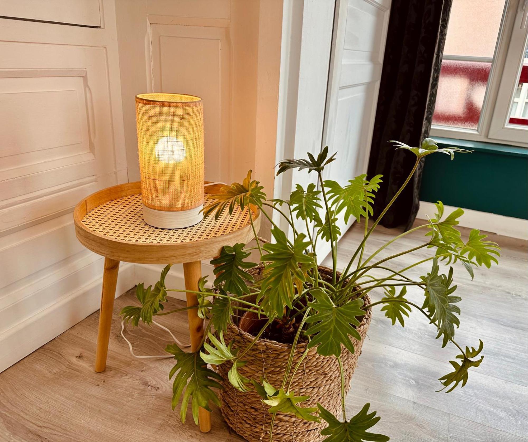 Apartment De Charme Avec Balcon - Les Iris